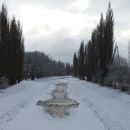 Penzion Hlinkova Plzeň Dış mekan fotoğraf