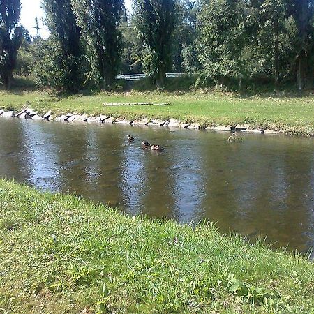 Penzion Hlinkova Plzeň Dış mekan fotoğraf