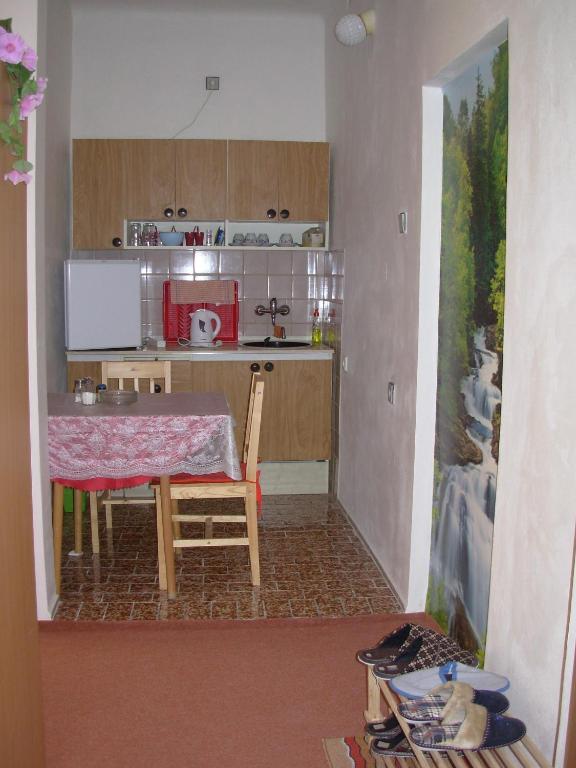 Penzion Hlinkova Plzeň Oda fotoğraf