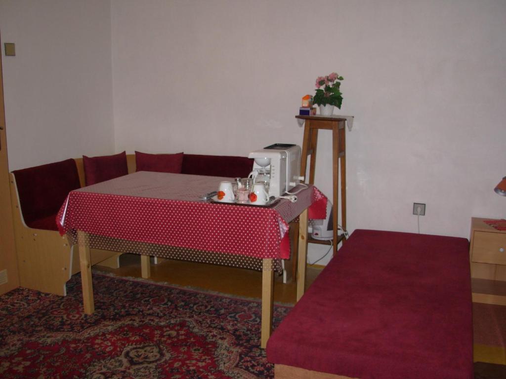 Penzion Hlinkova Plzeň Oda fotoğraf