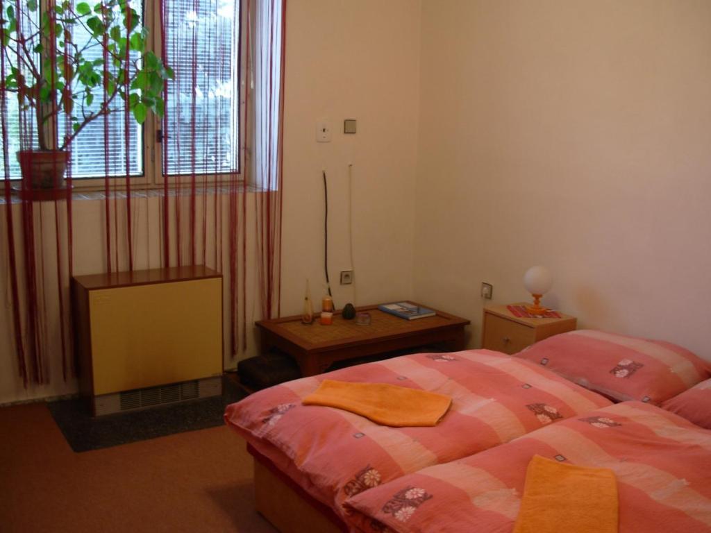 Penzion Hlinkova Plzeň Oda fotoğraf