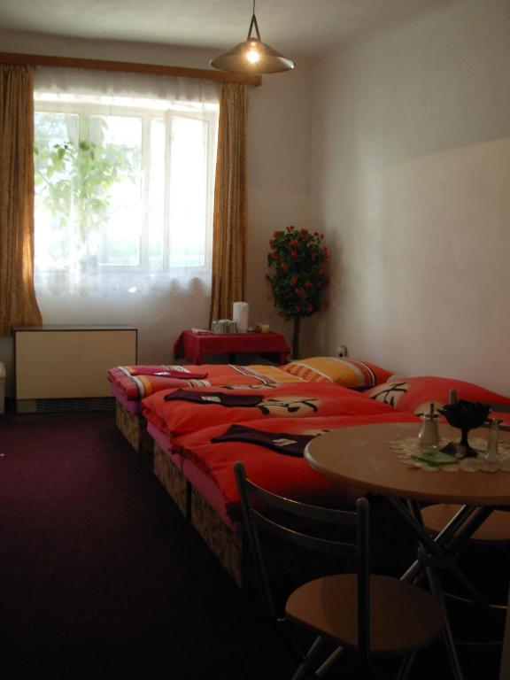 Penzion Hlinkova Plzeň Oda fotoğraf