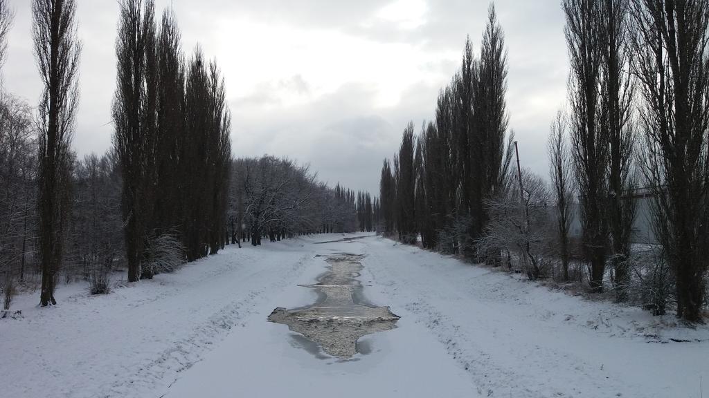 Penzion Hlinkova Plzeň Dış mekan fotoğraf