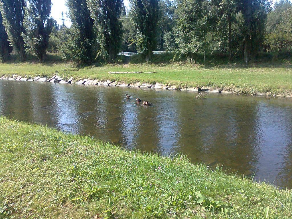 Penzion Hlinkova Plzeň Dış mekan fotoğraf